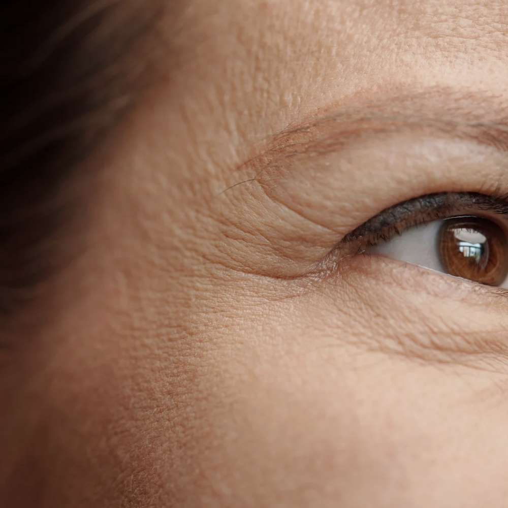 Rughe & Segni del Tempo